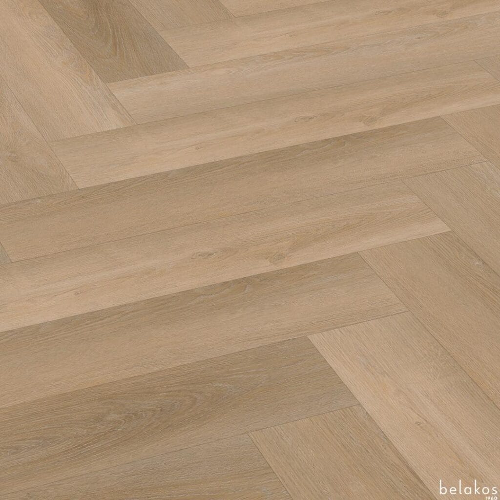 Belakos Attico visgraat XL 81