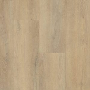 Belakos PALAZZO 720 | RIGID CLICK