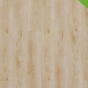 Gelasta Dynamic 2500 (dryback) Natural light