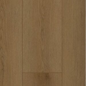 Gelasta Firmfit 6503 (dryback) Sierra Brown