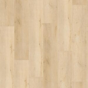 Muka ROCCA DRYBCK 2001