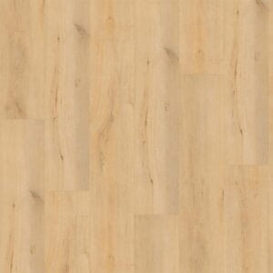 Muka ROCCA DRYBCK 2003