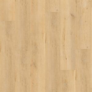 Muka ROCCA DRYBCK 2002