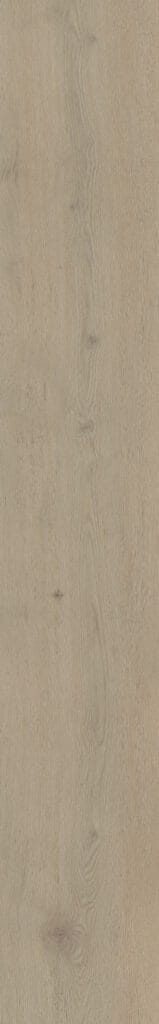 Belakos Attico 850 | Rigid Click