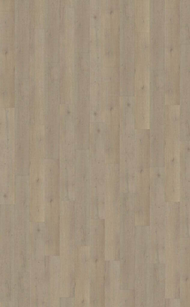 Belakos Attico 850 | Rigid Click