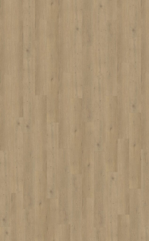 Belakos Attico 870 | Rigid Click