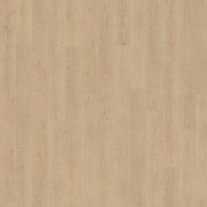 Belakos Monastro 920 | Rigid Click