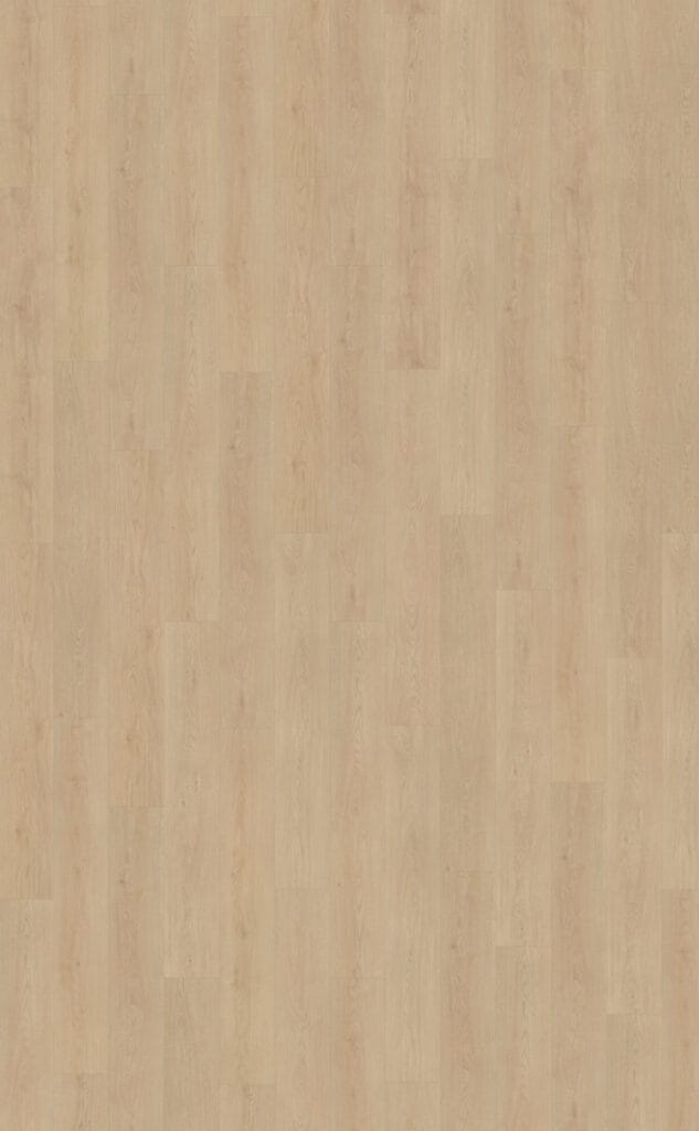 Belakos Monastro 920 | Rigid Click