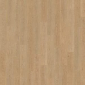 Belakos Monastro 930 | Rigid Click