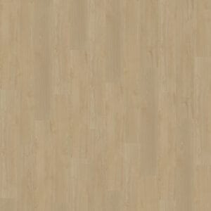 Belakos Portico 550 | Rigid Click