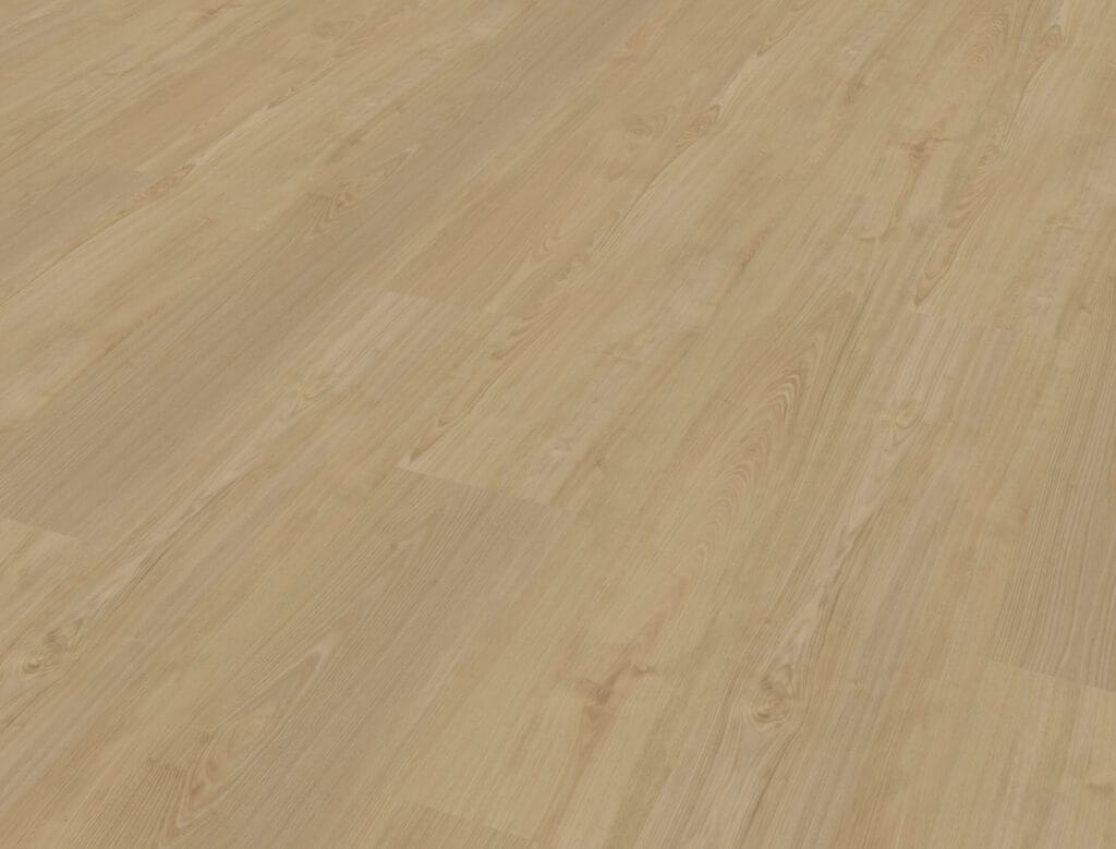 Belakos Portico 560 | Rigid Click