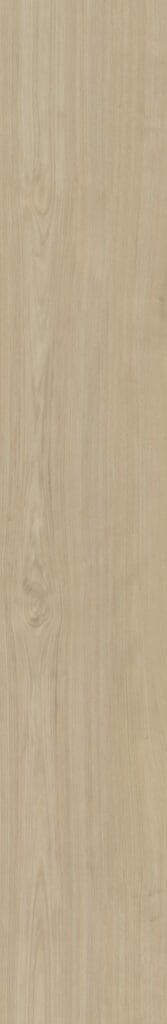 Belakos Portico 570 | Rigid Click