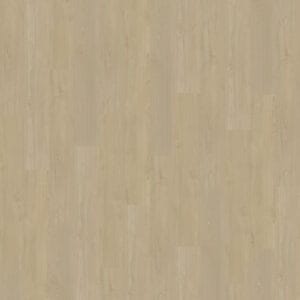 Belakos Portico 570 | Rigid Click