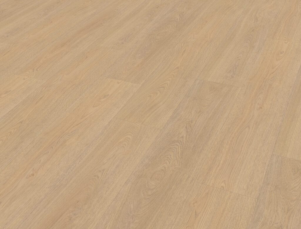 Belakos Terreno 610 | Rigid Click