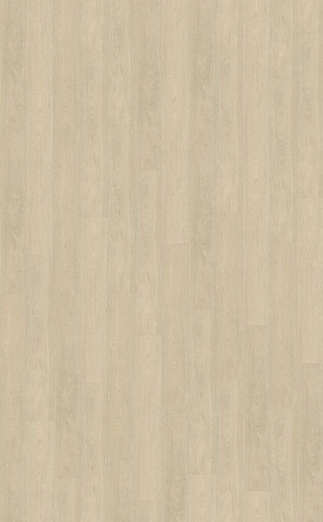 Belakos Terreno 620 | Rigid Click