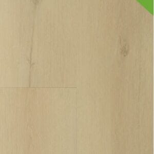 Gelasta Sierra 2001 (dryback) Beige