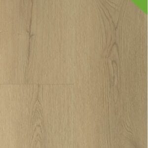 Gelasta Sierra 2003 (dryback) Natural