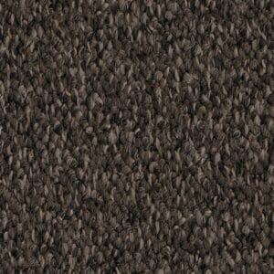 Ambiant - Jackson bruin 0600