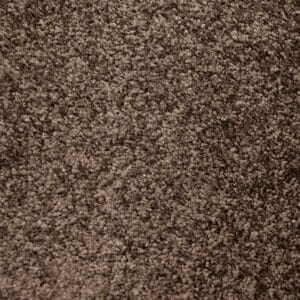 Ambiant - Magnifico olifant 0120