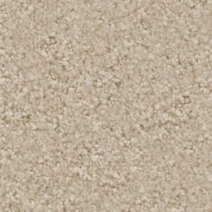 Ambiant - Magnifico savanne 0455