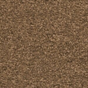 Ambiant - Miami camel 0405