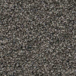 Ambiant - Minnesota titaan 0170