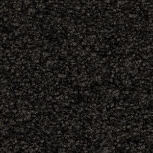 Ambiant - Minnesota zwartbruin 0255