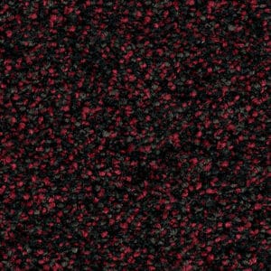 Ambiant - Minnesota zwartrood 0207 - Traprenovatie