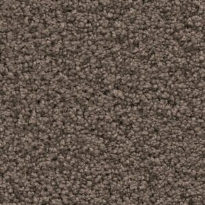 Ambiant - Newberry bruin 0600