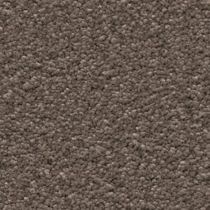 Ambiant - Newport bruin 0600