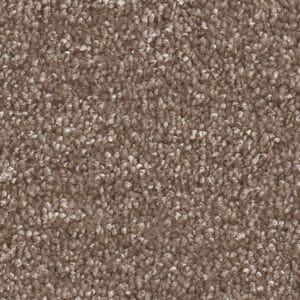 Ambiant - Nifty bruin 0600