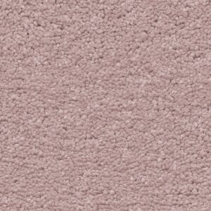 Ambiant - Orlando babyroze 1120