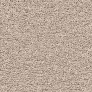 Ambiant - Orlando champagne 0030