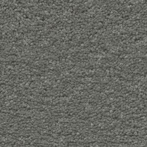 Ambiant - Orlando olifant 0120