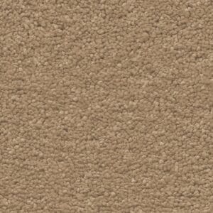 Ambiant - Orlando sesam 0450