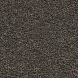 Ambiant - Pittsburgh olifant 0120