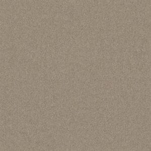 Ambiant - Attraction champagne 0030