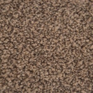 Ambiant - Attraction hazelnoot 0465