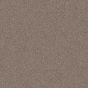 Ambiant - Attraction steppe 0495