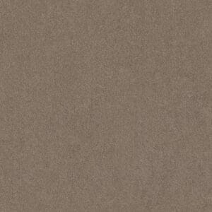 Ambiant - Maryland taupe 0535