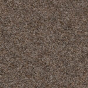 Ambiant - Novazon camel 0405