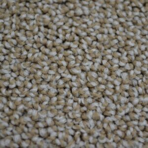 Ambiant - Traffic bisquit 0490