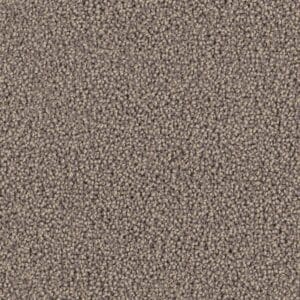 Ambiant - Traffic greige 0195