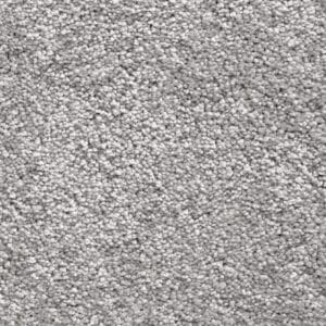 Gelasta - Atlas 74 Schelp