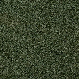 Gelasta - Castana 26  Mosgroen