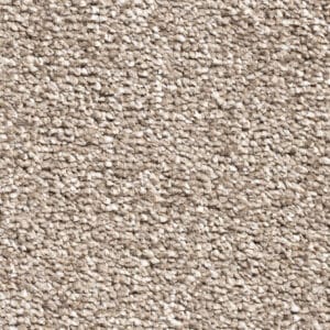 Gelasta - Da Vinci 93