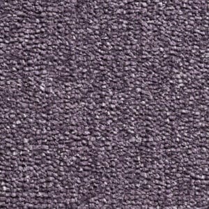 Gelasta - Discover 15 Lavendel