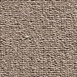 Gelasta - Discover 90 Nootmuskaat