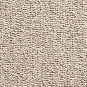 Gelasta - Discover 91 Camel