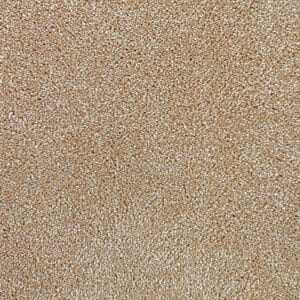 Gelasta - Ecolution SDN 33 Haver